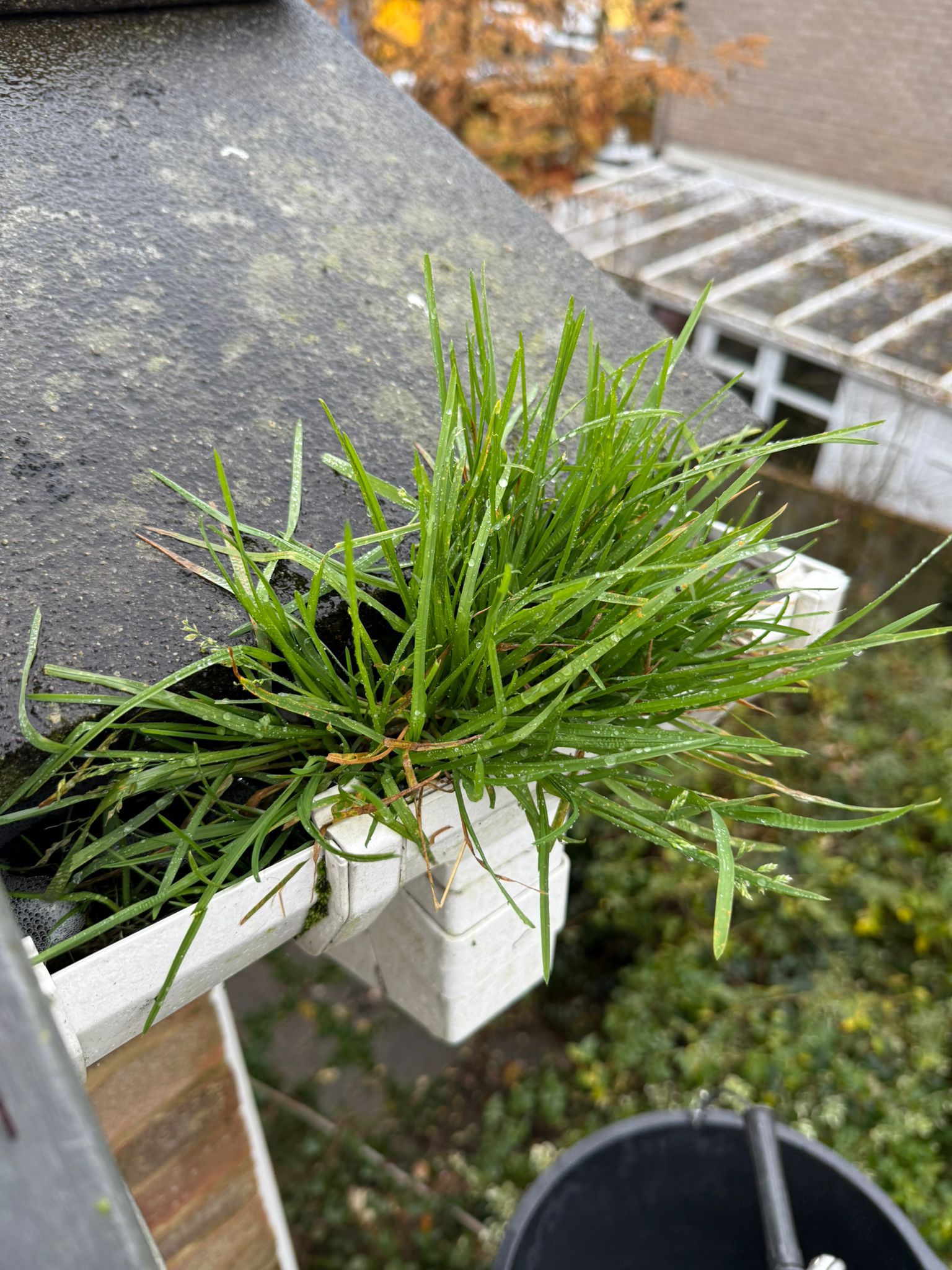 Blocked gutter downpipe in Northwood